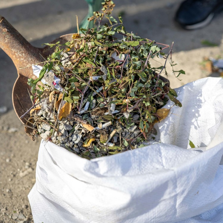 Junk removal services in St. Charles County, MO